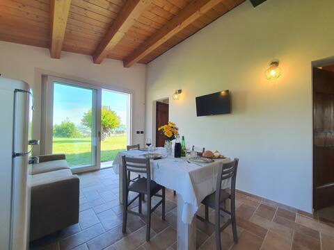 Successful Airbnb property: Domus Belvedere - Gelso Apartment with Pool in Pesaro And Urbino