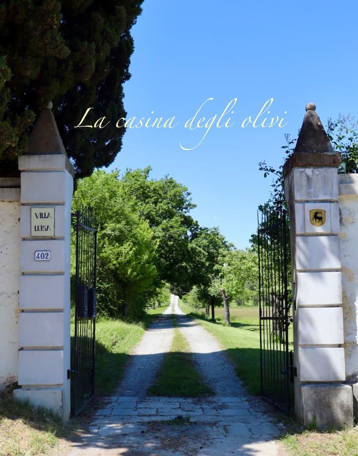 La Casina Degli Olivi, Il Tuo Angolo Di Paradiso - Lucca