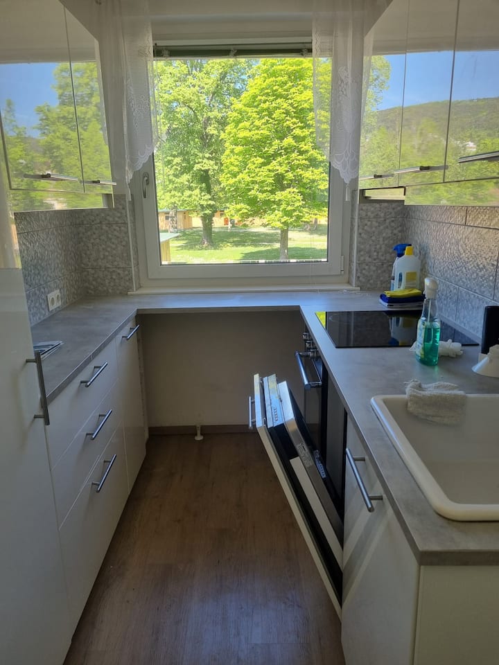 Casita De Golondrinas En Baden-viena - バーデン
