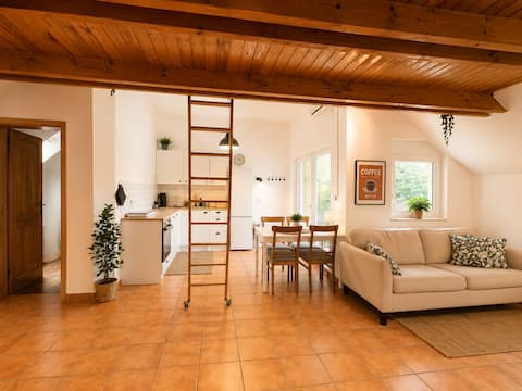 Top performing Airbnb: Nature & City Apartment (Free Parking) in Četrtna Skupnost Šentvid