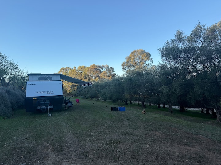 The Grove Caravan | Clare Valley Escape - 클레어