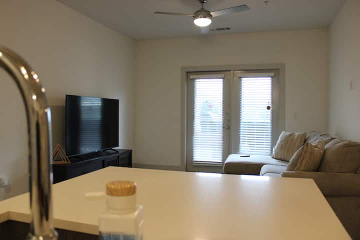 Modern 1br Near Seaworld & Lackland - Alamo Ranch - San Antonio