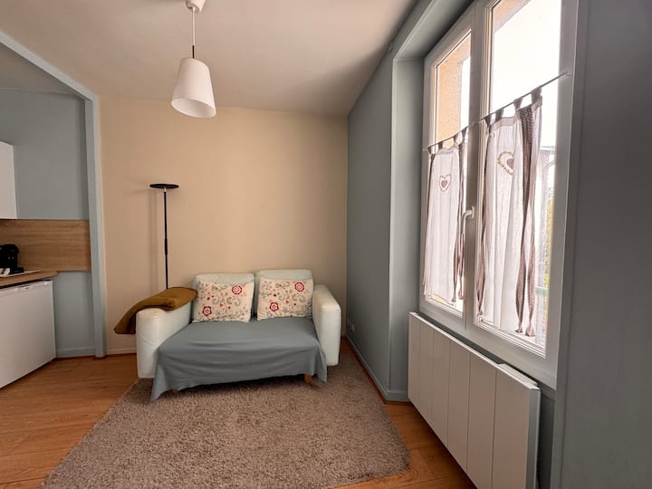 Centre / Appartement Avec Chambre / Idéal 2 Pers - Fontainebleau