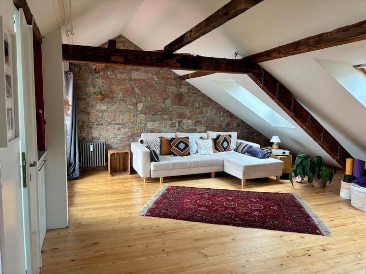 Charmant Et Spacieux Duplex Au Cœur De Bâle - Basilea
