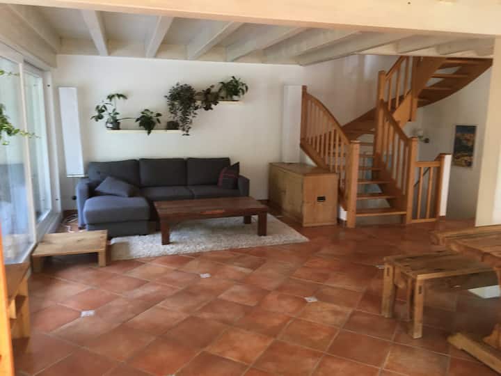 Spacieuse Villa Individuelle Avec Jardin - Ferney-Voltaire