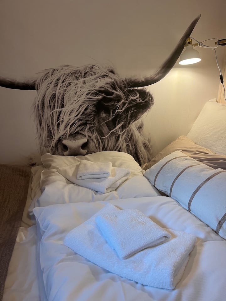 Sov godt i den lune dobbeltsenga under høglandskua sitt vaktsame blikk-ei varm blanding av hotellkomfort og ekte gardssjarm.