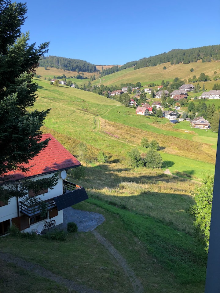 Ferienwohnung Black Forest Hideaway - Horben