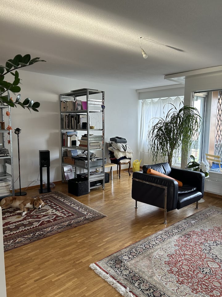 Jolie Chambre Sur Les Hauteurs De La Ville - Fribourg