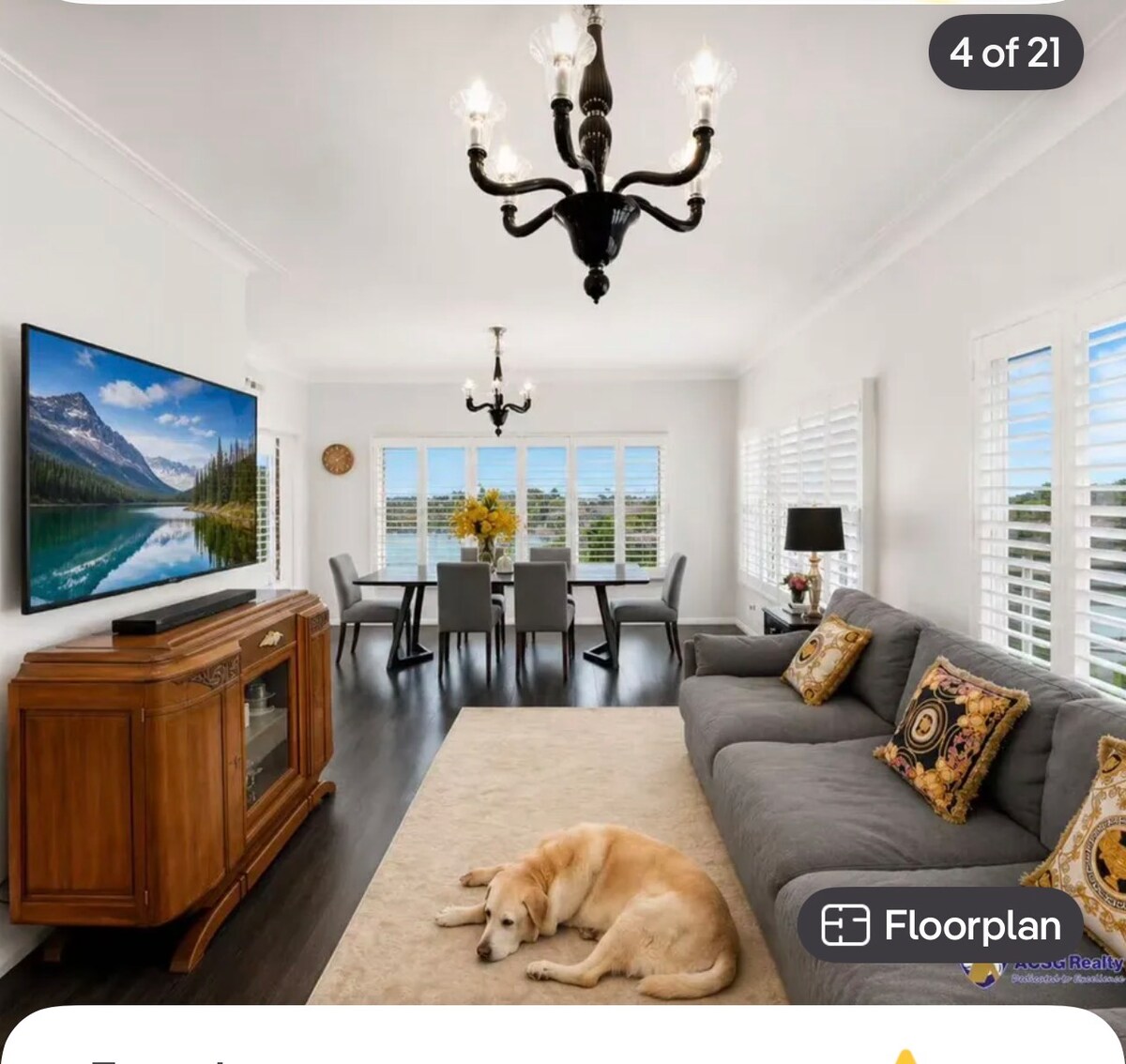 Lily's House