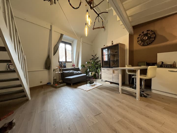 Duplex Spacieux, Idéal Séjour Détente Ou Travail - Arras