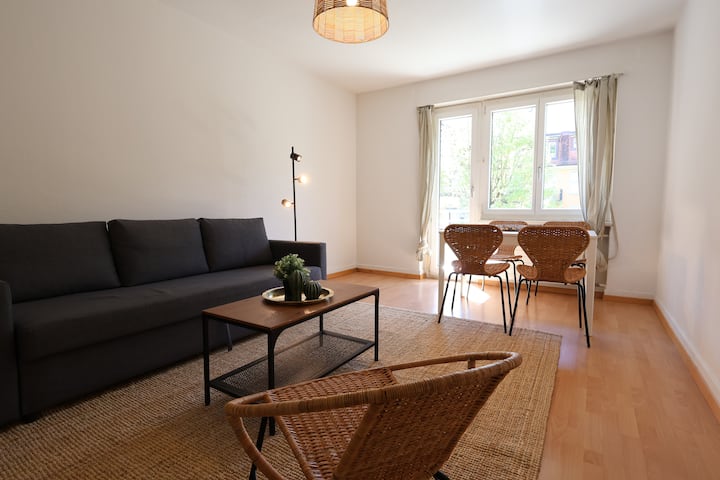 Charming 1br Apartment Zürich - Zurich