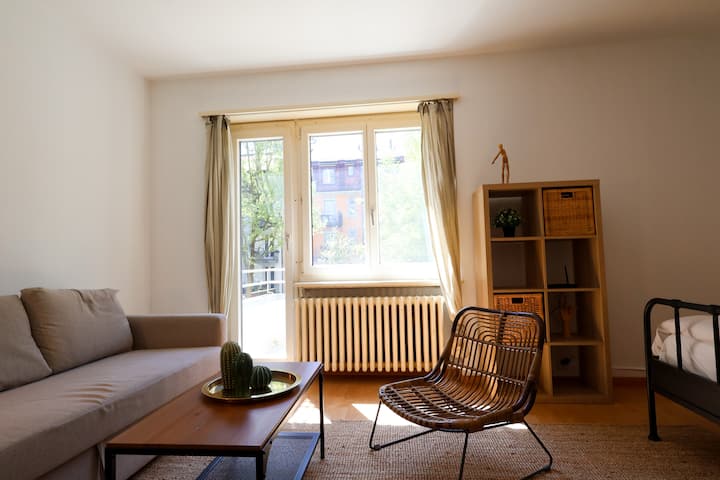 Sunny Wipkingen Flat With Balcony - Zúrich