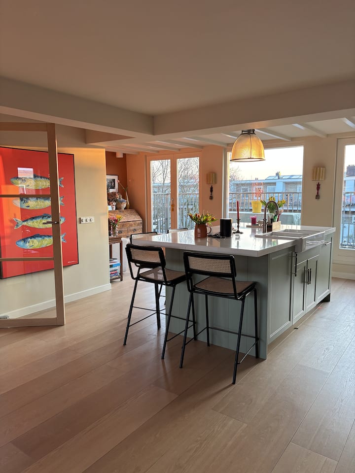 Spacious Penthouse With Rooftop Terrace - アムステルダム