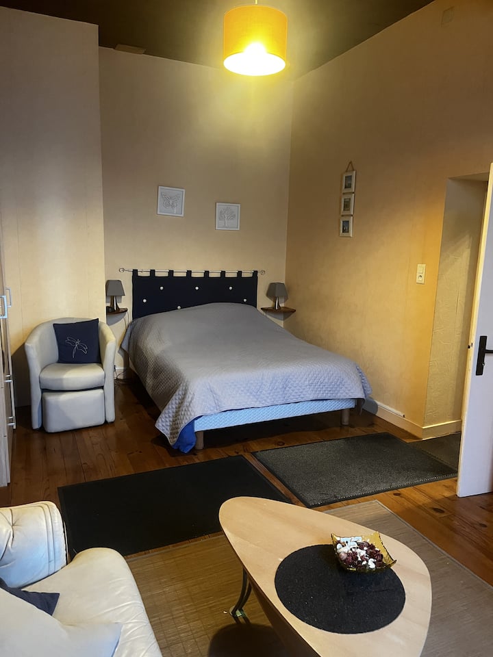 Charmant Appartement Jonzac - Jonzac