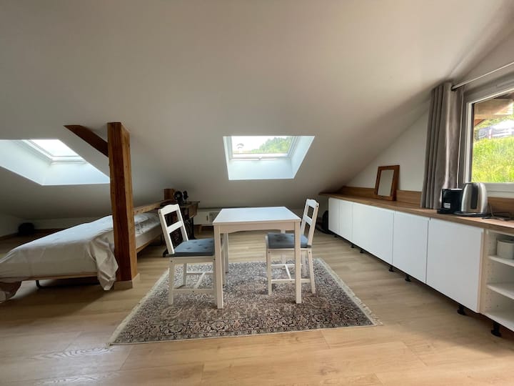 Studio Dans Un Chalet Entre Lac Et Montagne - Menthon-Saint-Bernard