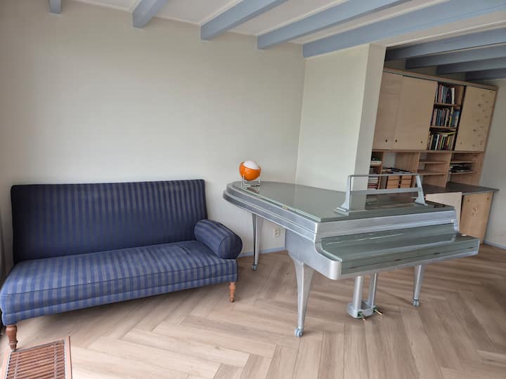 Cosy Arts & Music House - Schoorl
