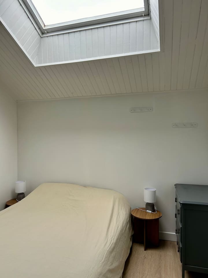 Habitación 1
