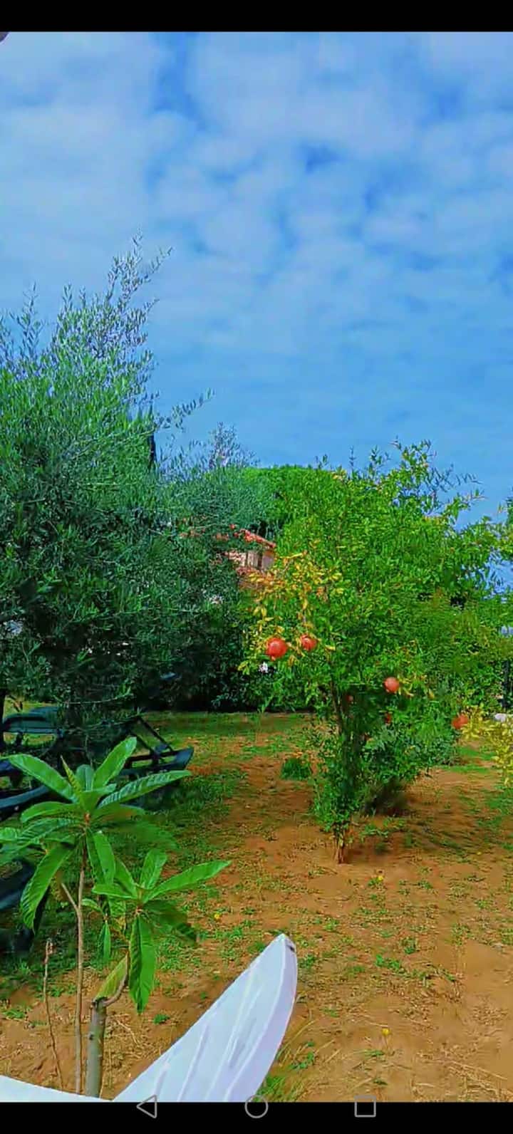 Giardino Al Mare - San Vincenzo
