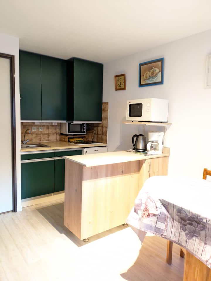 Studio 4 Pers,balcon Plein Sud Vue Sur La Montagne - Pirineos