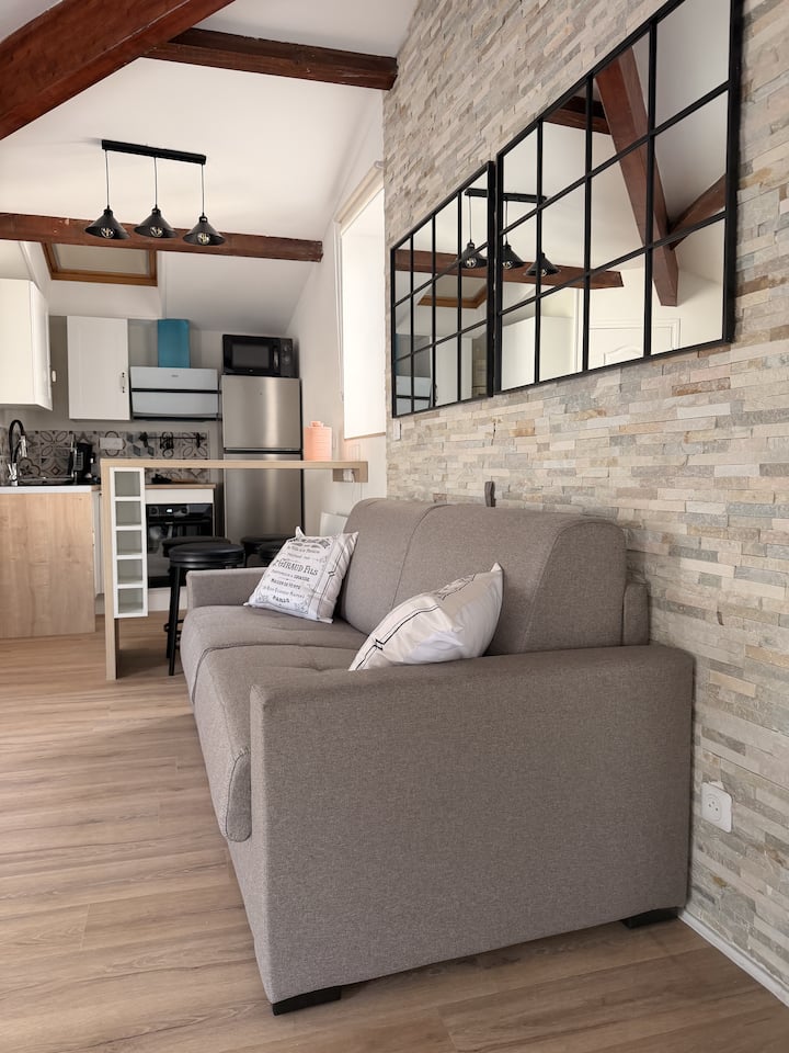 Magnifique Studio Rénové En Centre-ville - Clermont-Ferrand