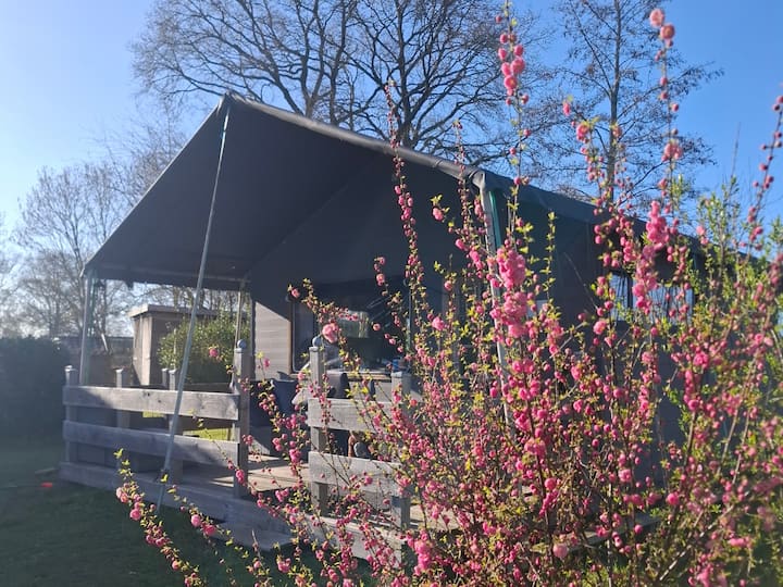 De Boswachterslodge - Meppel
