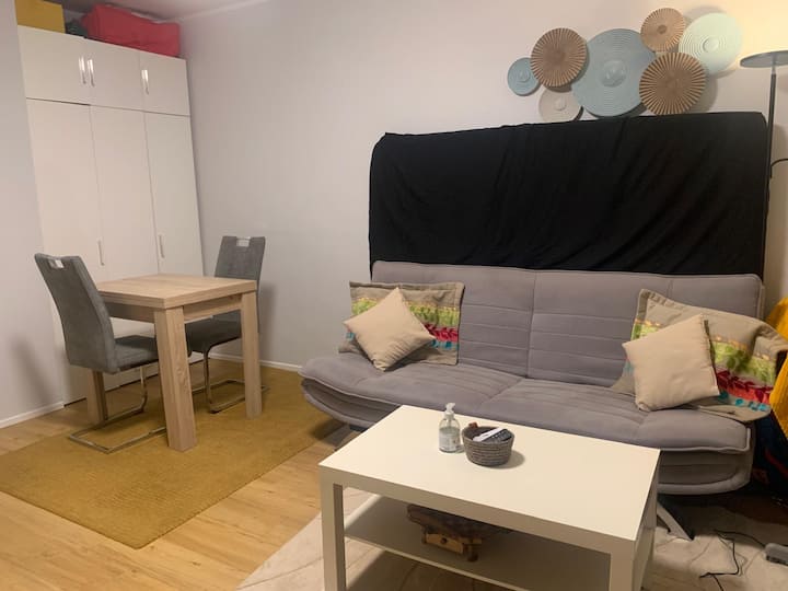 1-zimmerwohnung Verfügbar Nur Im Mai - Munich