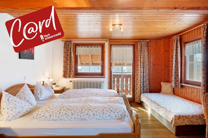 Doppelzimmer 3 - Titisee-Neustadt