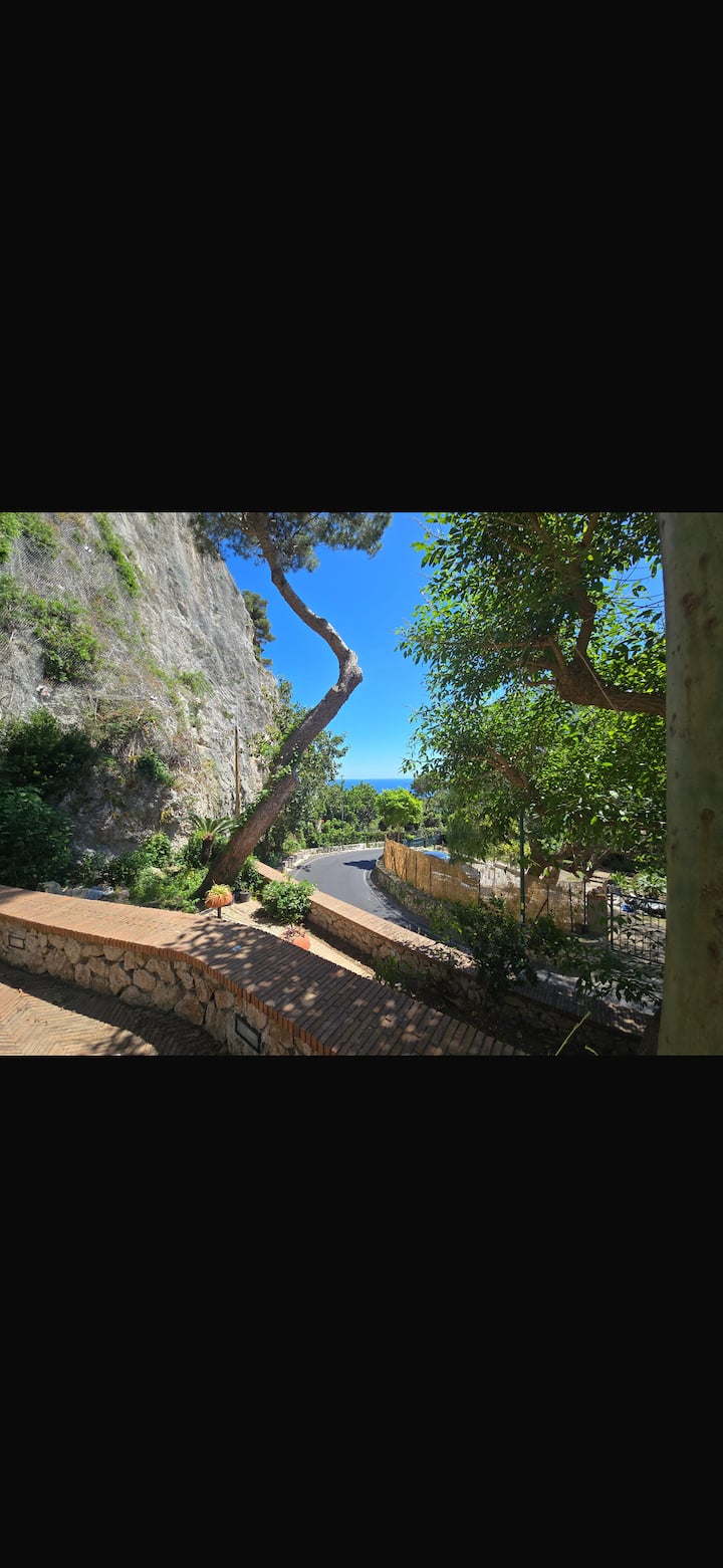 Villa Affascinante E Comoda A Capri - Capri