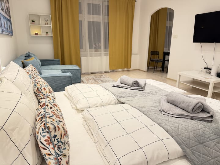 Prostorný Apartmán U Zelené Brány S Terasou - Pardubice