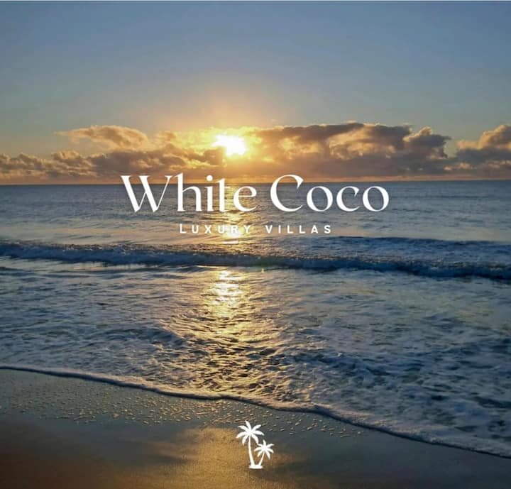 Additional photos image 11