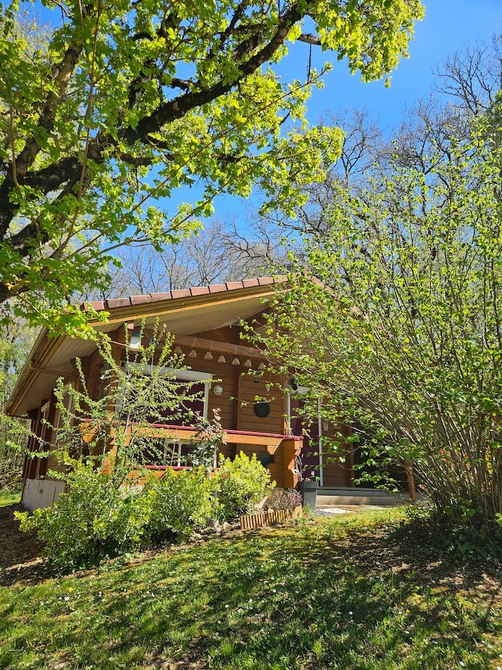 Charmant Chalet Dans Le Lot - Puy-l'Évêque