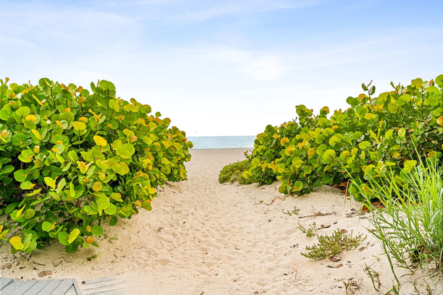 Hello Sunshine, Indian Shores photo 78