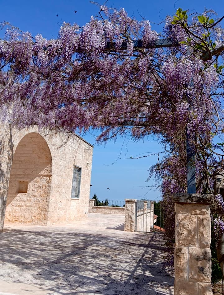 Le Lantane - Cisternino