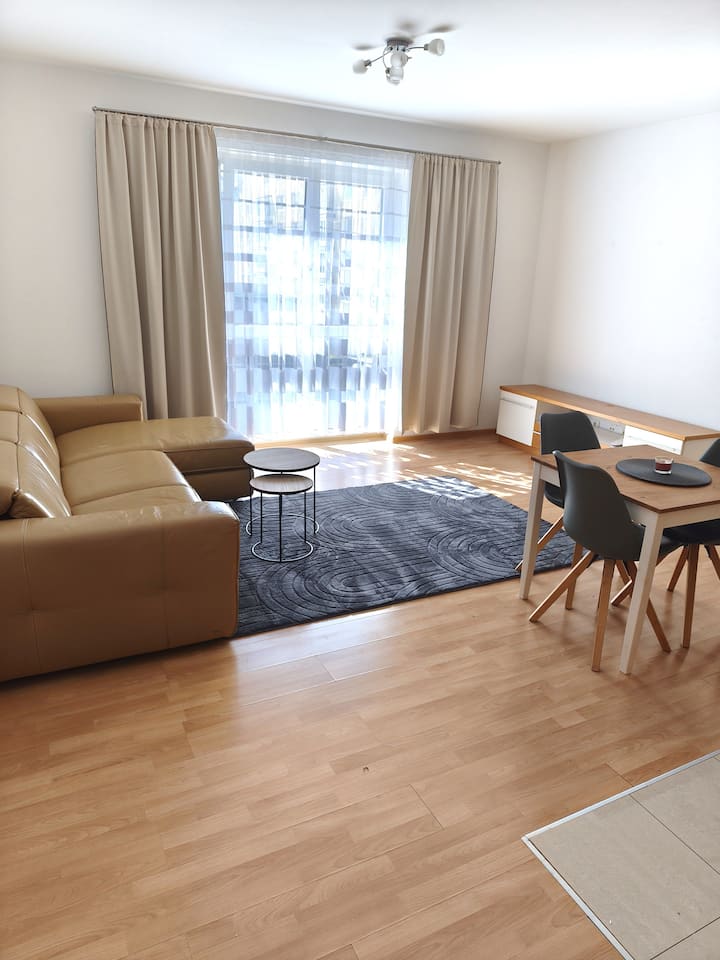 Helle, Einladende Wohnung Zum Wohlfühlen In Linz - リンツ