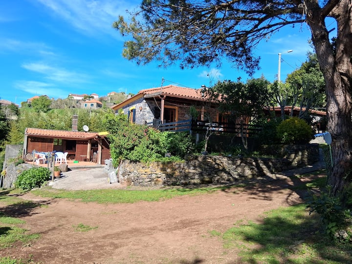 Folly's Garden - Porto Moniz
