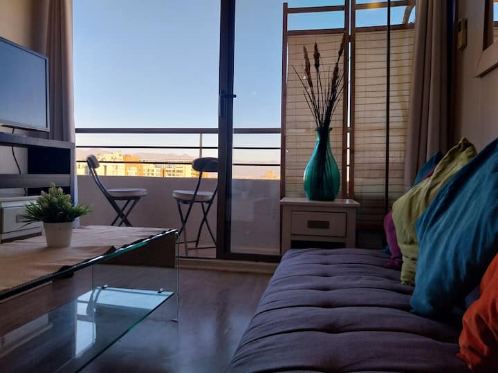 Vista Ciudad Y Montañas - Santiago