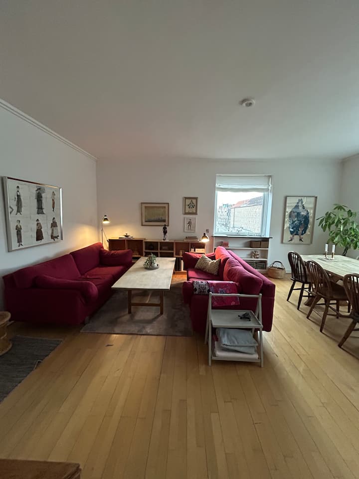 Spacious And Cosy Apartment - Copenhagen Center - Kopenhagen