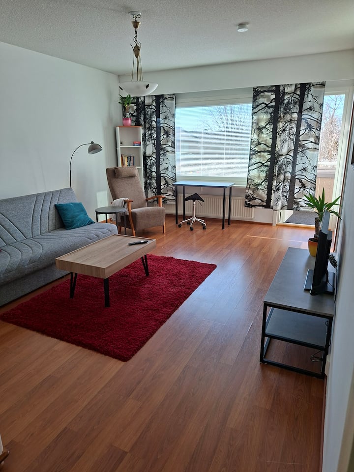 Tilava Saunallinen Kaksio - Savonlinna