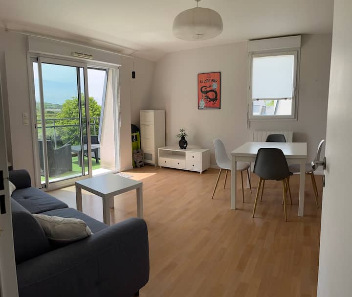Appartement Ensoleillé Avec Terrasse, Proche Mer. - Roscoff