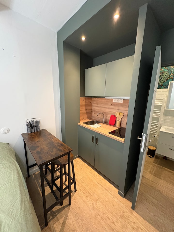 Petit Studio Hypercentre - Narbonne
