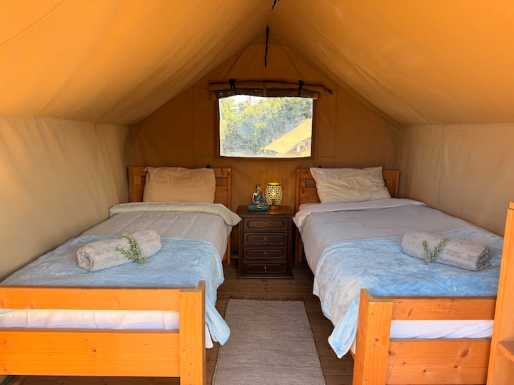 Safari Tent 03 - Portimão