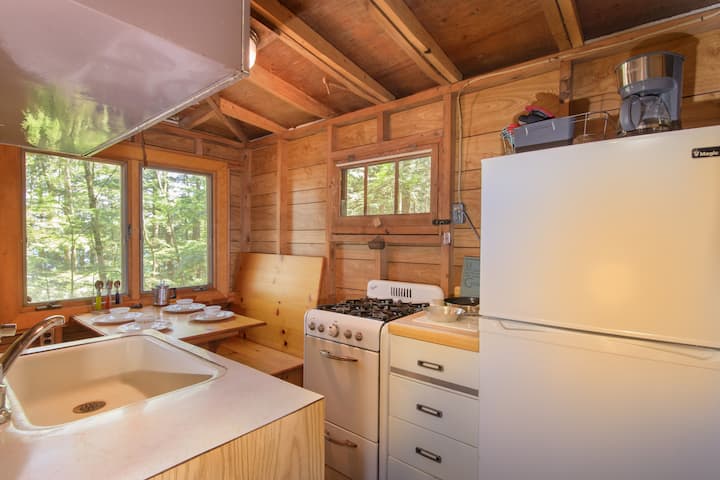 Small Fam Trip: Lakefront, Fire Pit, Parking - Half Moon Pond State Park, Hubbardton