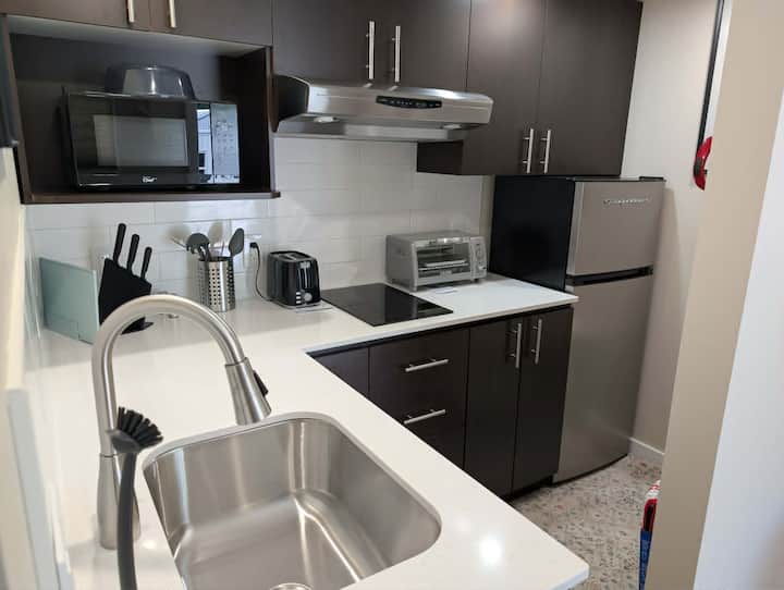 Studio Au Centre-ville De Gatineau - 加蒂諾