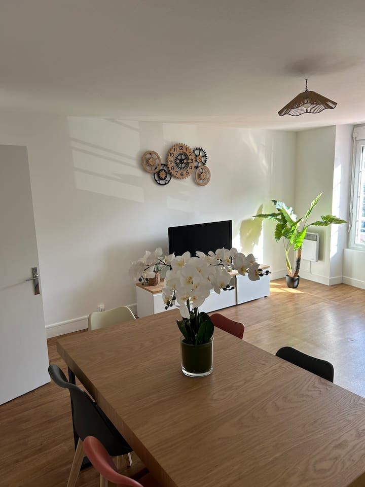 Charmant Appartement Quartier Calme Et Central - Le Mans