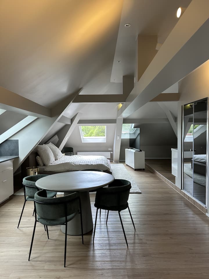 Modernes Dachgeschoss-loft In Reutlingen - Reutlingen