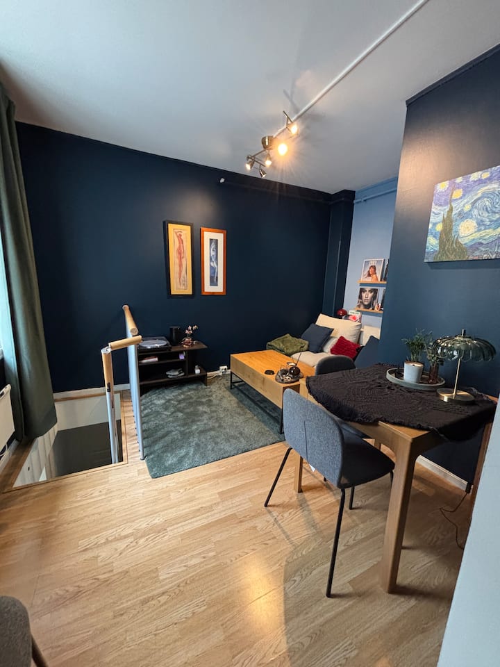 2 Etasjes Leilighet, Gangavstand Fra Sentrum - Trondheim