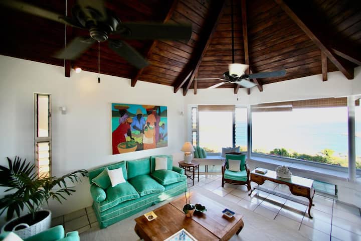 Oceanview Luxury Villa | Infinity Edged Pool - Antigua and Barbuda