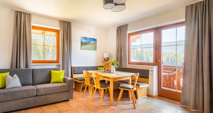 Panorama Wohnung Filzmoos - Filzmoos