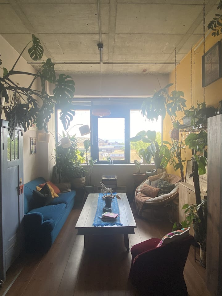 Urban Amsterdam Jungle - Ámsterdam