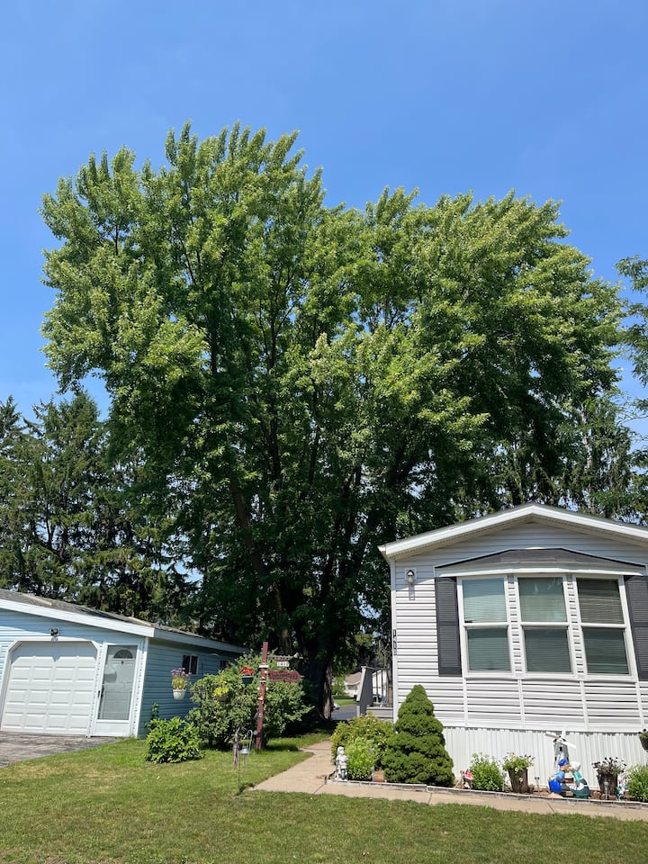 Breezy Pines At Patrician Village Across From Eaa - Oshkosh, WI